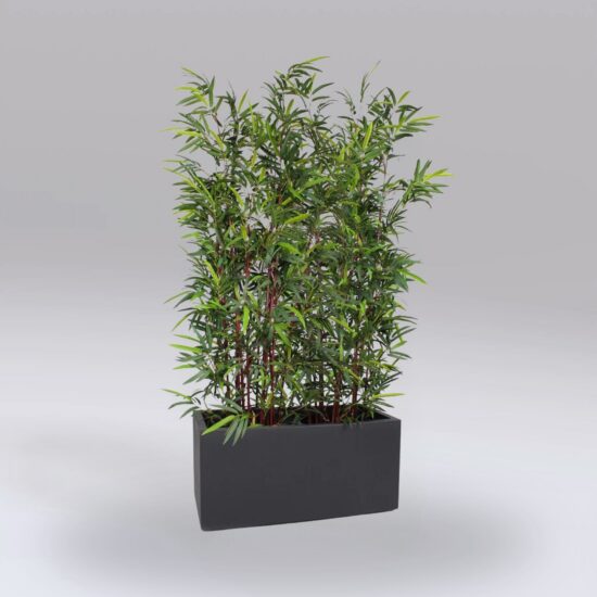 bamboo plant hire, artificial bamboo hire, bamboo planter hire, event plant hire, planter hire London, artificial plant hire, exhibition plant hire, event greenery hire, hospitality furniture hire, wedding plant hire, venue styling hire, corporate event plants, faux bamboo hire, event screening hire, office plant hire, exhibition furniture hire, event décor hire, artificial trees hire, furniture hire London, event hire UK