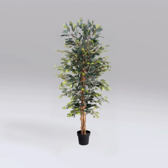 ficus tree hire, artificial tree hire, faux tree hire London, event plant hire, exhibition tree hire, wedding tree hire, hospitality plant hire, corporate event plants, venue styling hire, decorative tree hire, artificial foliage hire, indoor plant hire, office plant hire, event greenery hire, exhibition furniture hire, event décor hire, furniture hire London, artificial plants hire UK, conference furniture hire, event hire UK