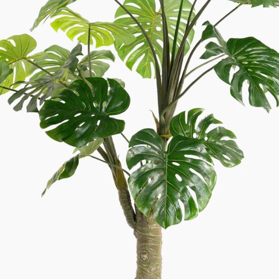 monstera plant hire, artificial monstera hire, tropical plant hire, event plant hire London, artificial plant hire, faux monstera hire, exhibition plant hire, event greenery hire, tropical event décor, hospitality plant hire, wedding plant hire, venue styling hire, corporate event décor, decorative plant hire, exhibition furniture hire, event styling hire, furniture hire London, artificial foliage hire, themed event hire, event hire UK