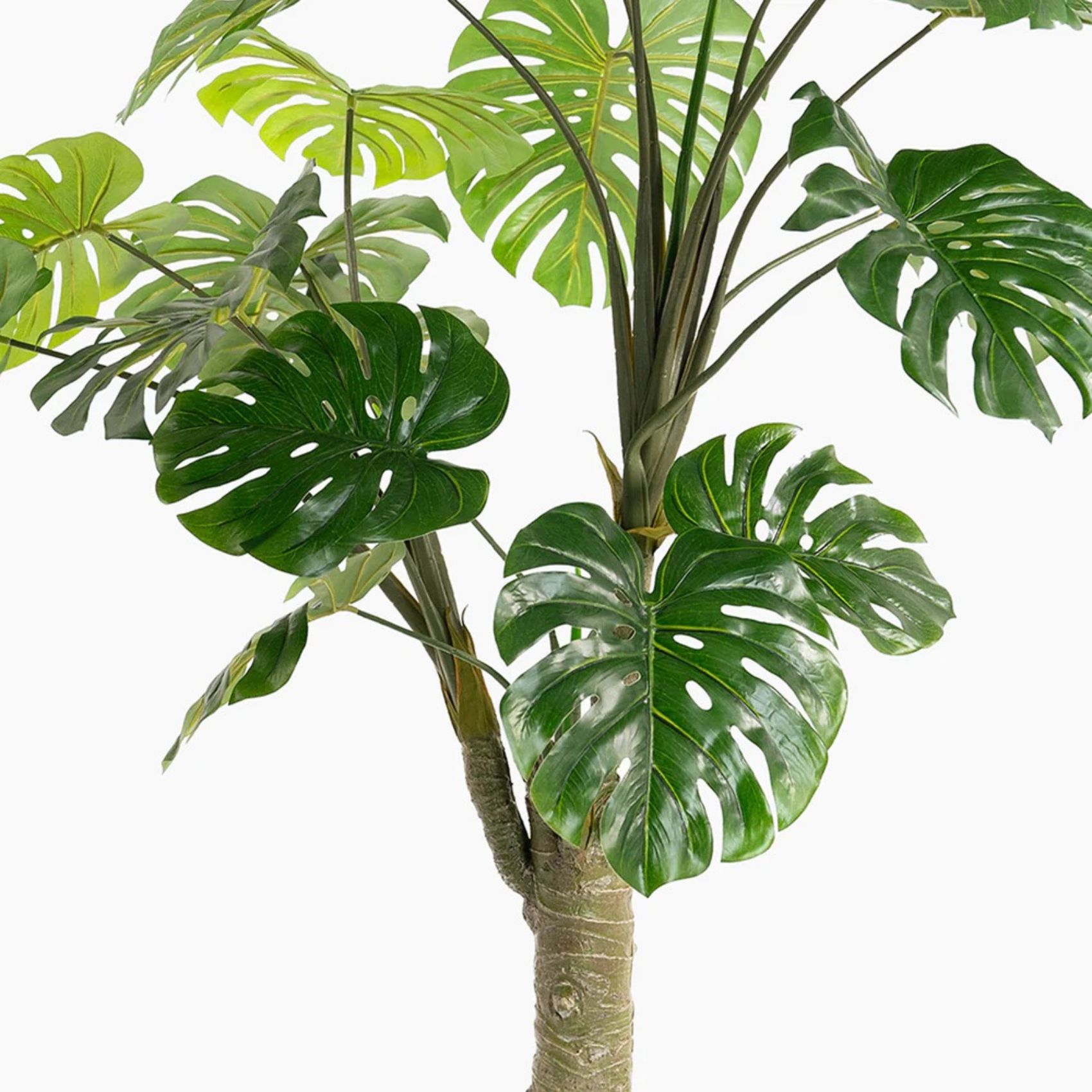 monstera plant hire, artificial monstera hire, tropical plant hire, event plant hire London, artificial plant hire, faux monstera hire, exhibition plant hire, event greenery hire, tropical event décor, hospitality plant hire, wedding plant hire, venue styling hire, corporate event décor, decorative plant hire, exhibition furniture hire, event styling hire, furniture hire London, artificial foliage hire, themed event hire, event hire UK